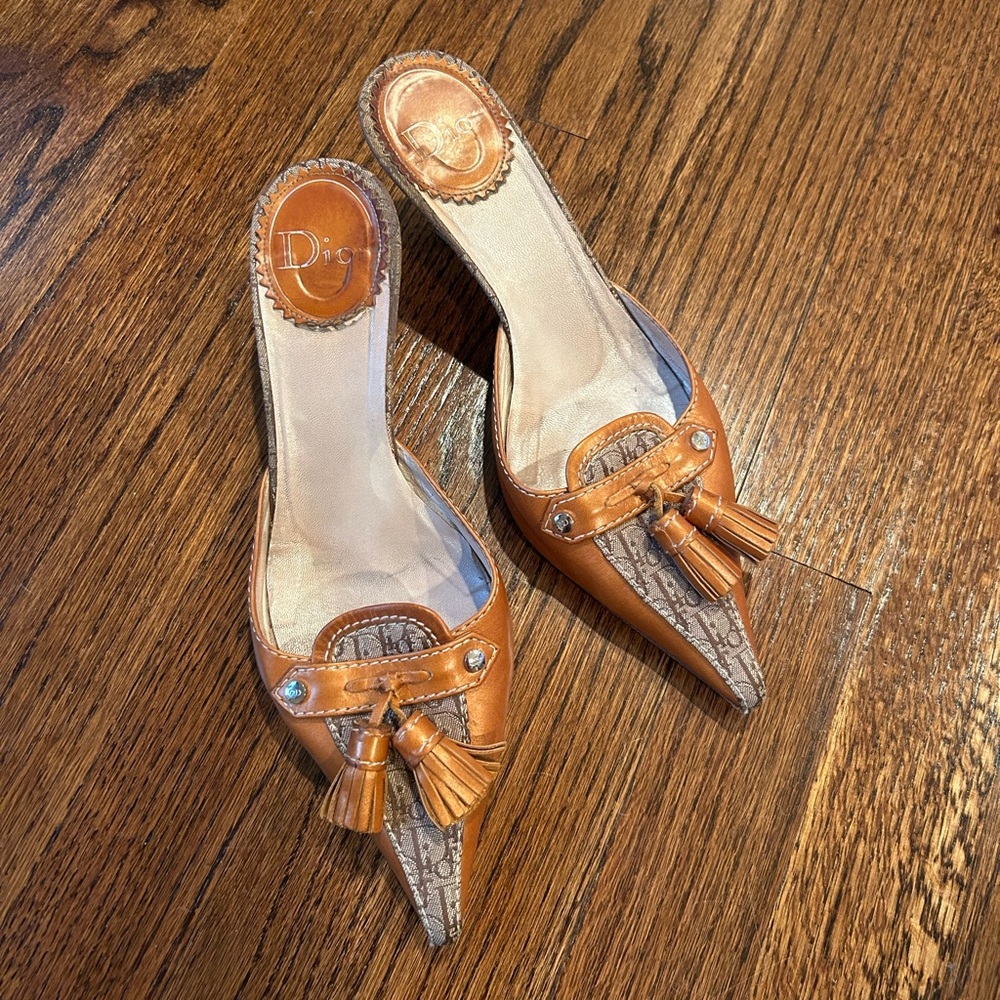 RARE CHRISTIAN DIOR TROTTER MULES